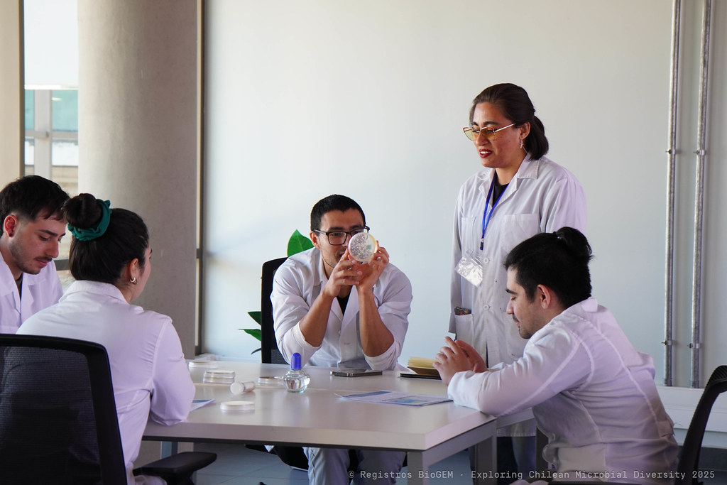 Bionostra en Workshop BioGem