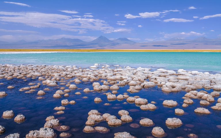 Microorganismos Extremófilos en el Desierto de Atacama - Bionostra